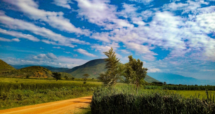 Mountains & Waterfalls Hike in Rwenzori Mountains